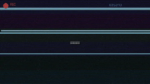 周末随拍记录 - 够了 够了 不要了 太多了 原创视频